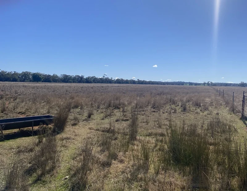 Additional image 19 of 382 Jones Lane, Condobolin NSW 2877