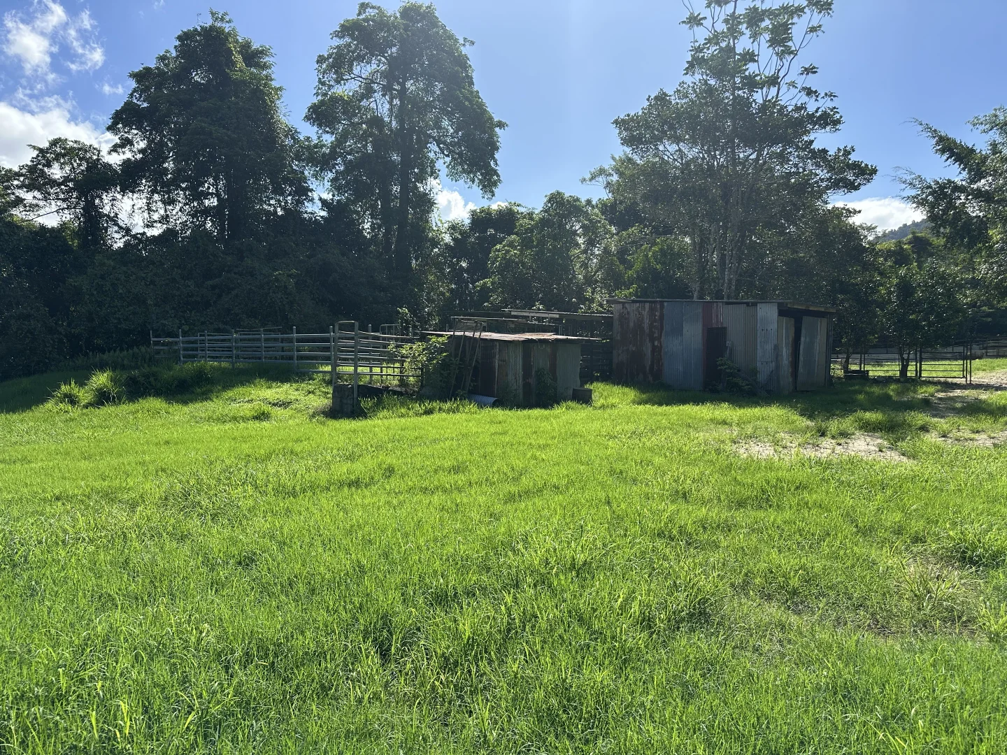 Additional image 21 of Japoonvale QLD 4856