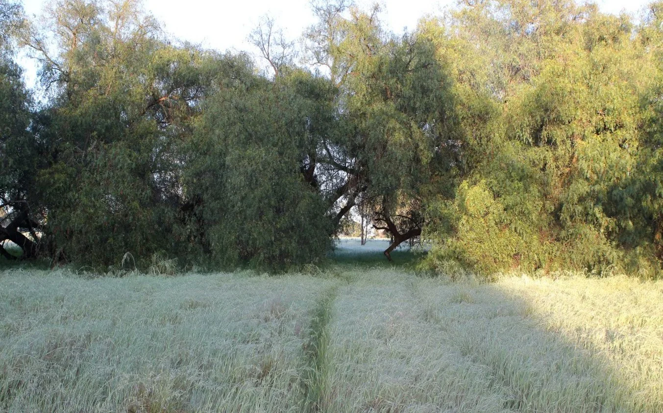 Additional image 7 of Lot/1 Corrys Mill Road, Picola West VIC 3639