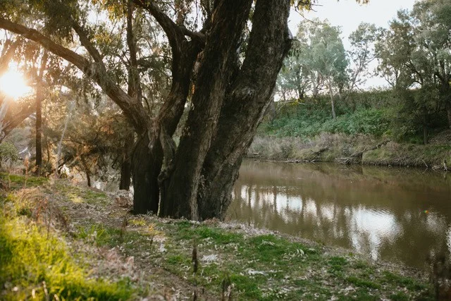 Additional image 46 of 38R North Burrabadine Road, Dubbo NSW 2830