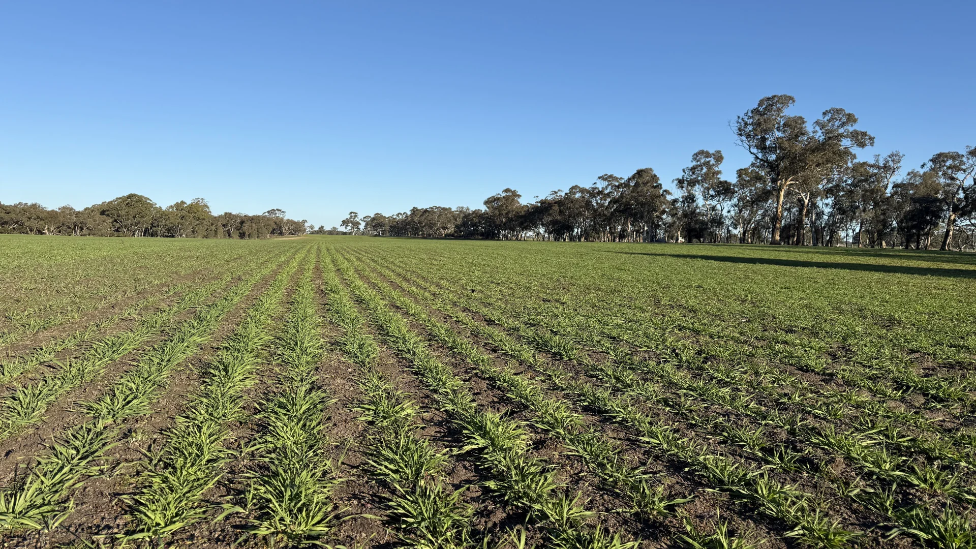 Additional image 12 of CA/75 A Watkins Road, Karnak VIC 3401