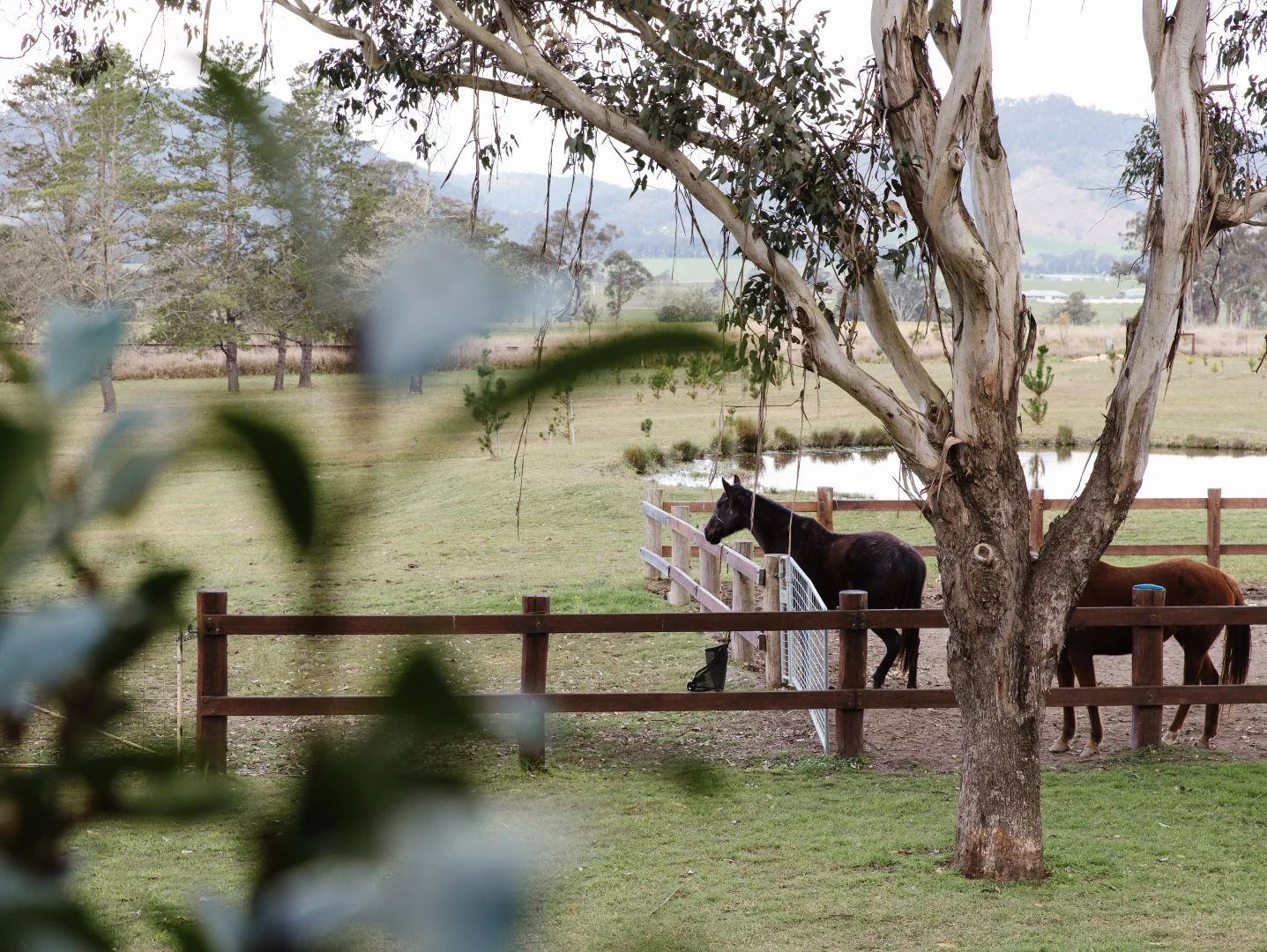 Additional image 28 of 4452 The Bucketts Way, Gloucester NSW 2422