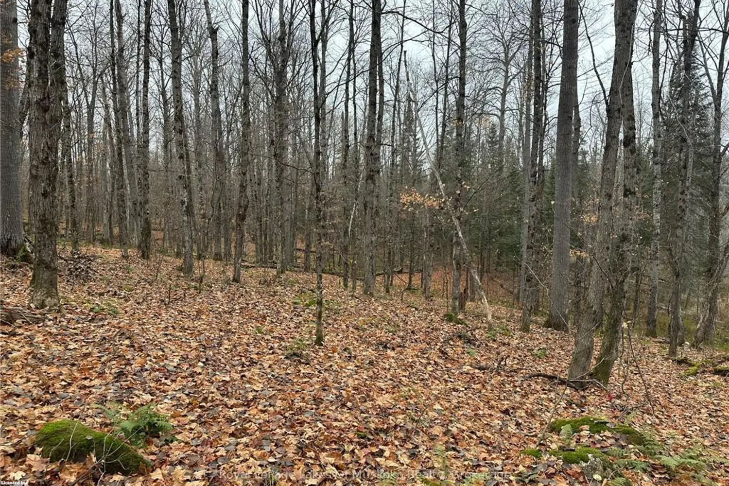 Additional image 4 of Lot 2 Hill And Gully Road