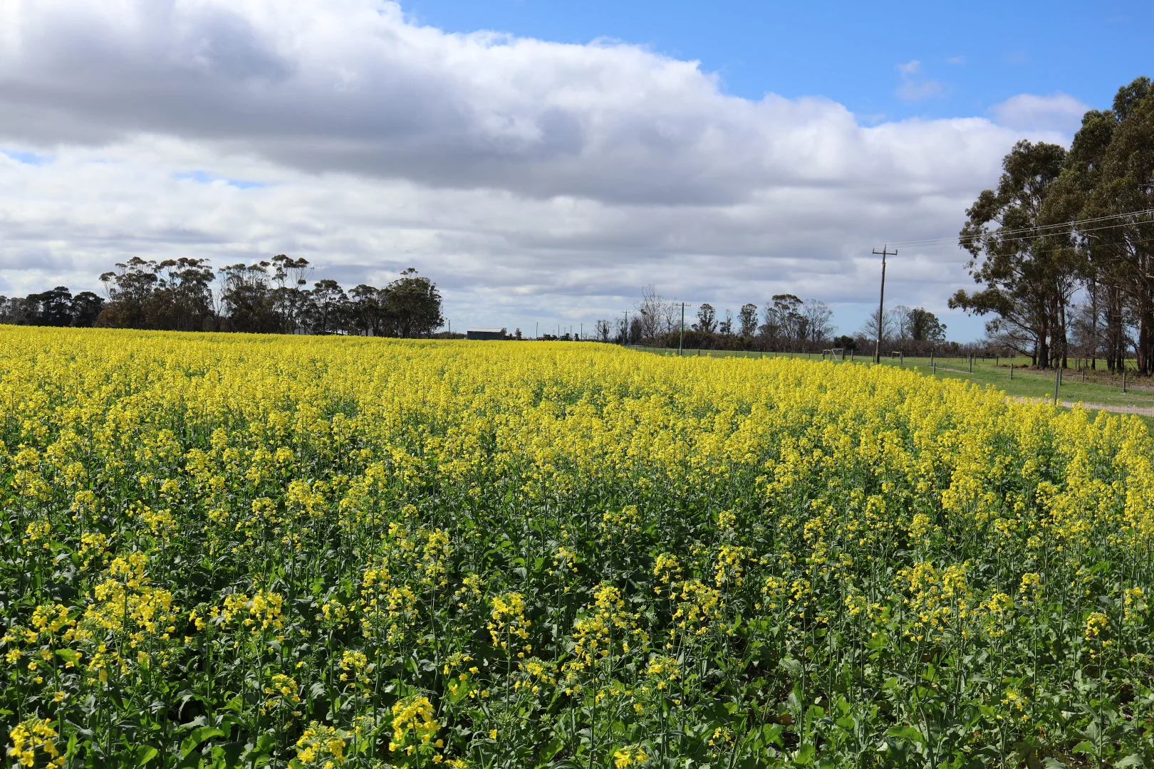 Additional image 21 of 39705 South Coast Highway, Green Range WA 6328