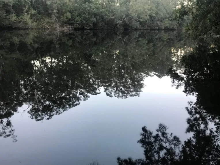 Additional image 21 of 406A Backhouse Road, Mogood NSW 2538