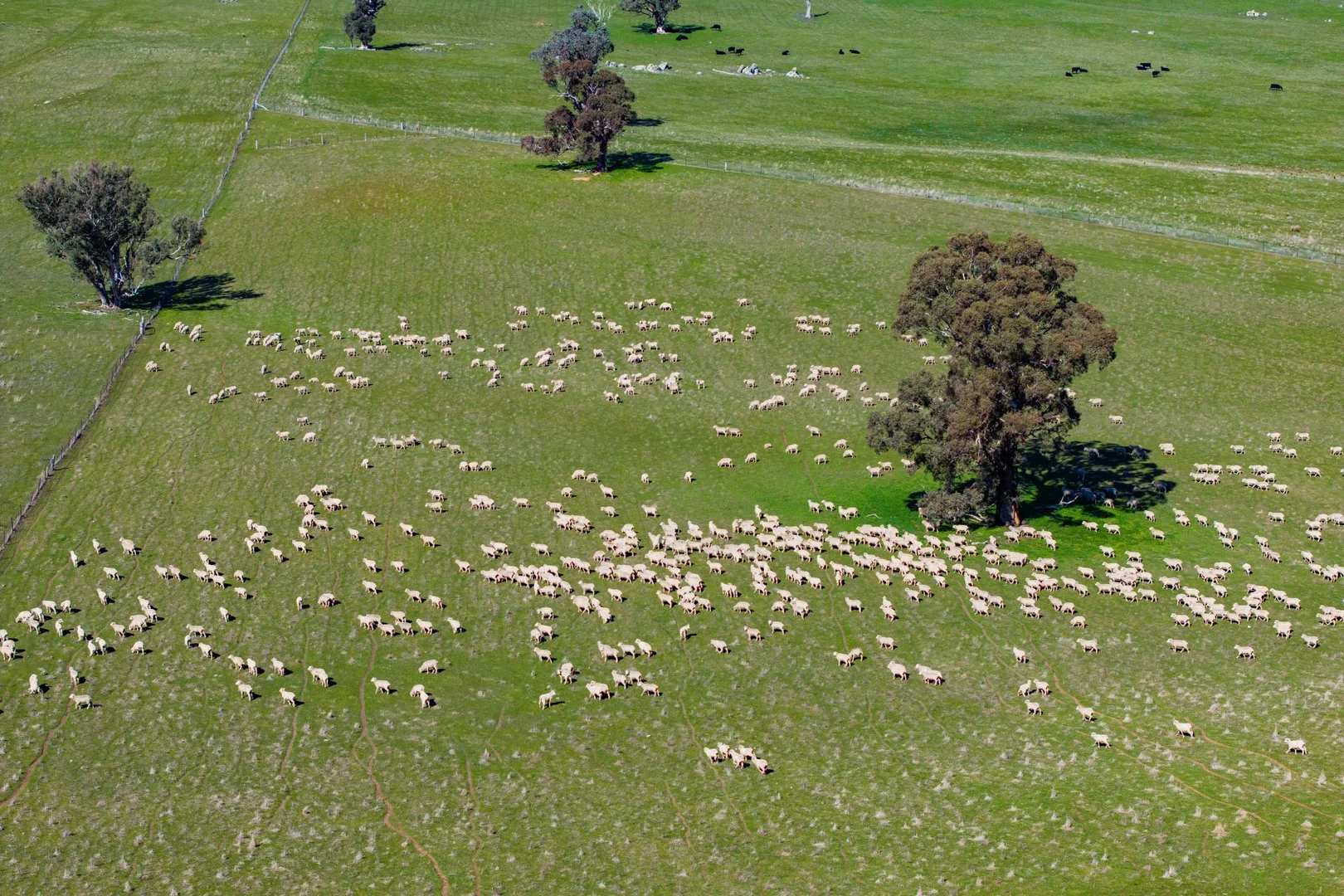 Additional image 33 of 670 Leahy Road, Wagga Wagga NSW 2650