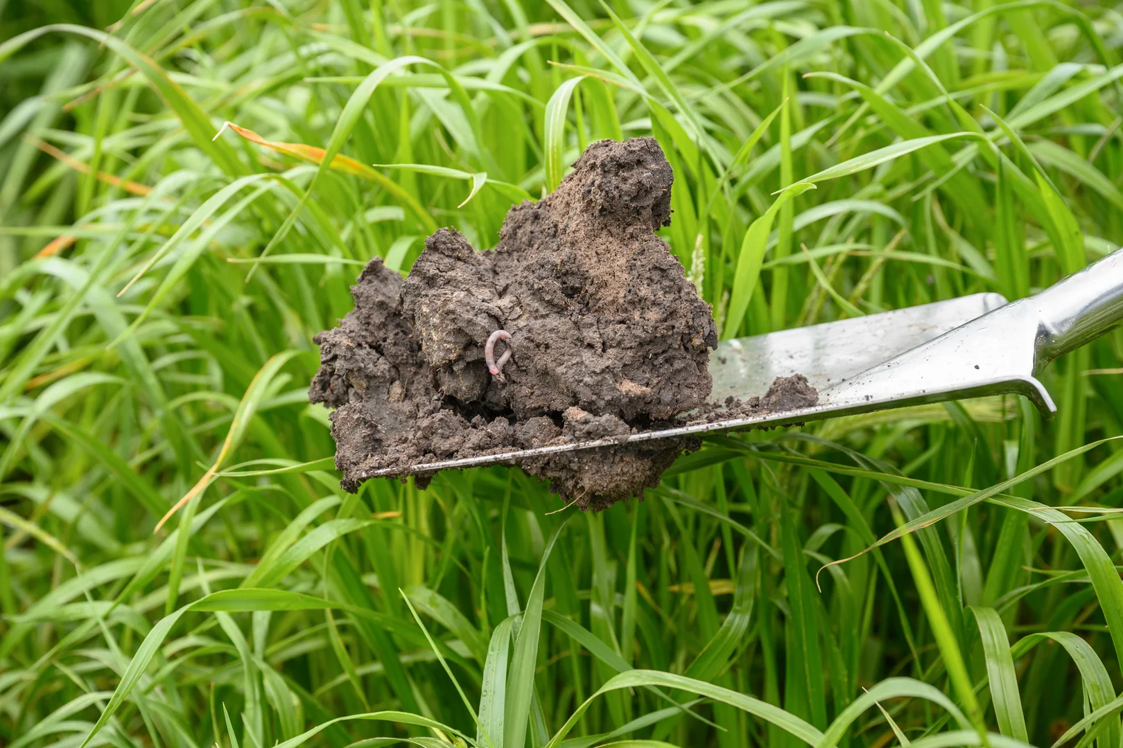 Additional image 29 of 771 Belt Road, Millicent SA 5280