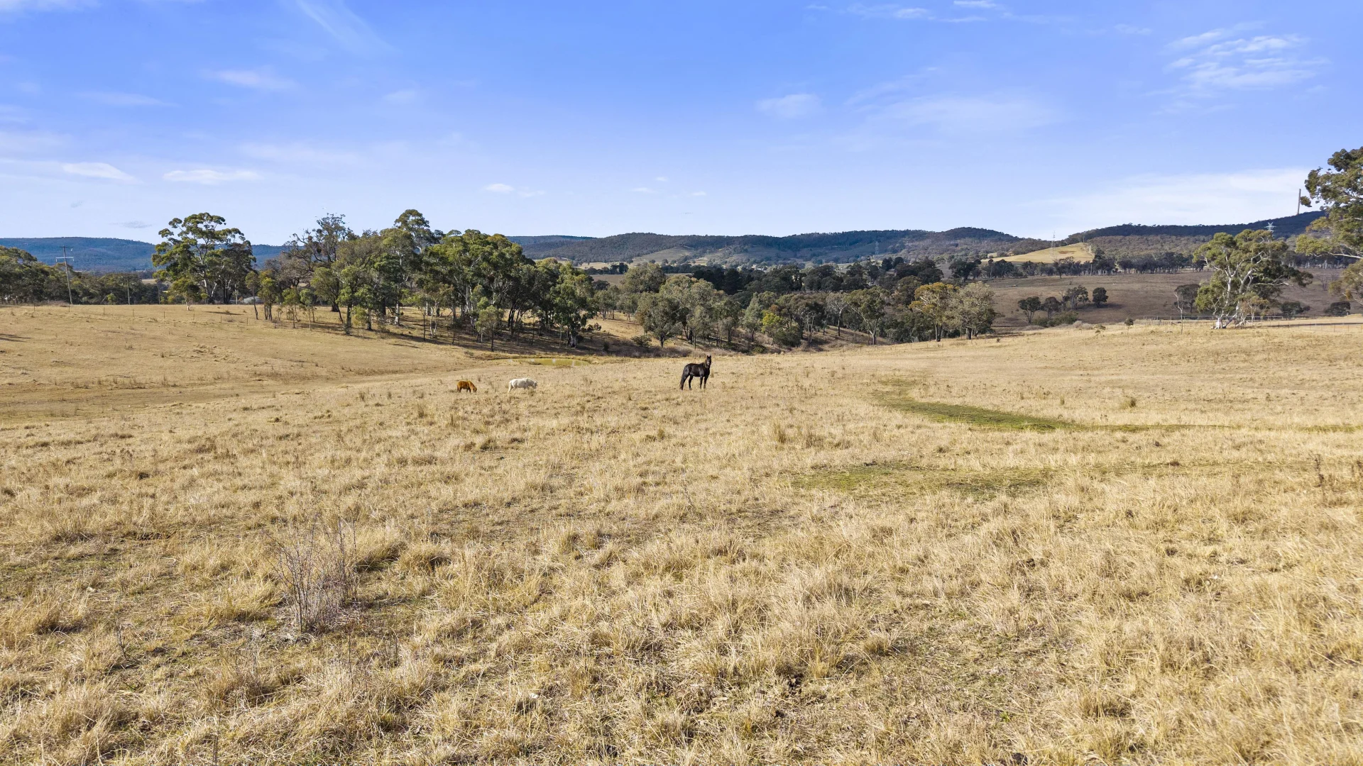 Additional image 26 of 176 Cullen Bullen Road, Portland NSW 2847