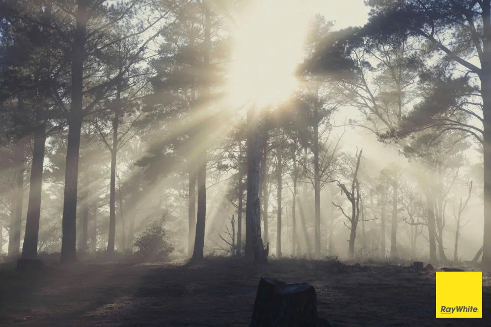 Additional image 17 of 270 Pine Bank Drive, Lower Boro NSW 2580