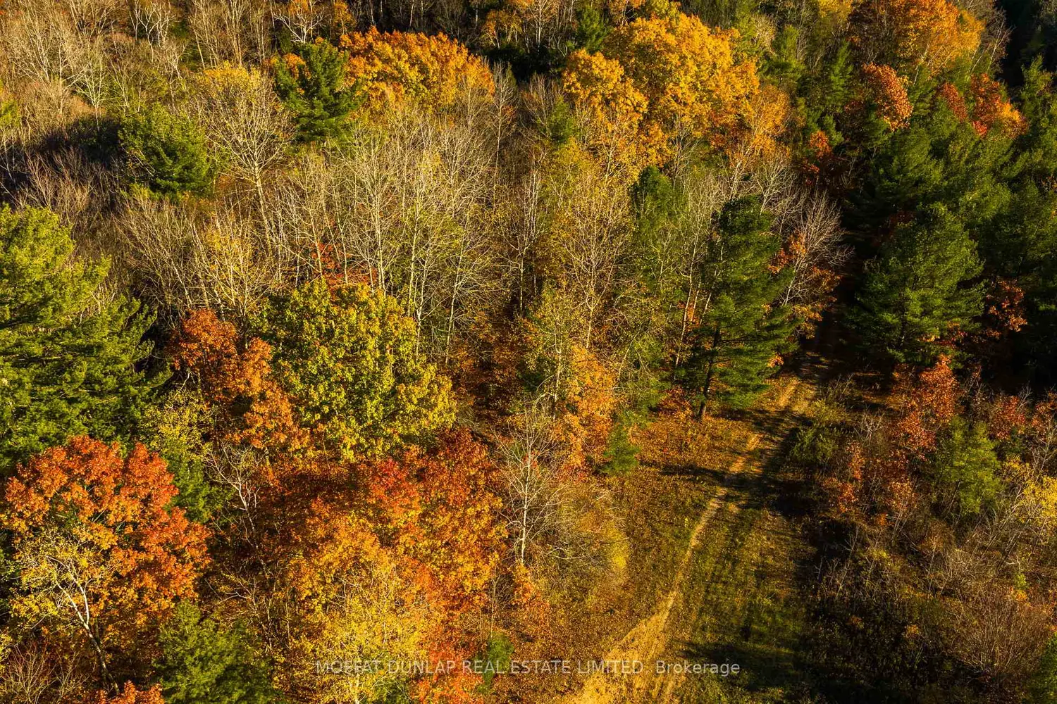 Additional image 17 of 2441 Seventh Line