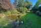 Additional image 11 of Kersoe Cottage, Kersoe