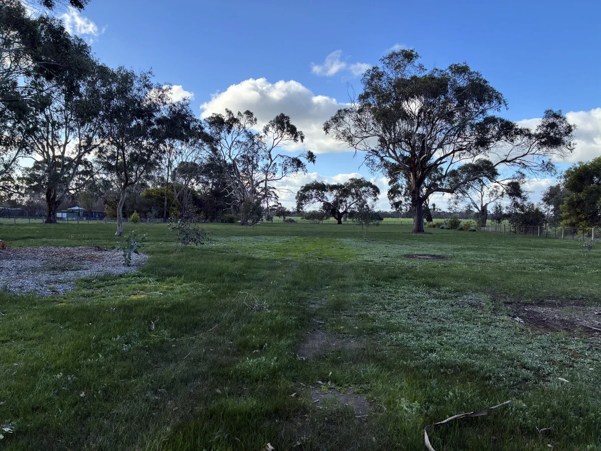 Additional image 7 of 8024 Hamilton Highway, Tarrington VIC 3301