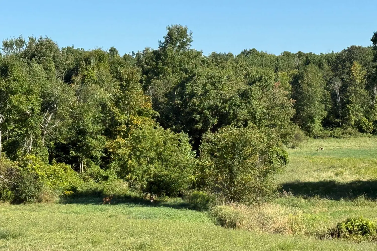 Additional image 6 of 0 Deloro Road