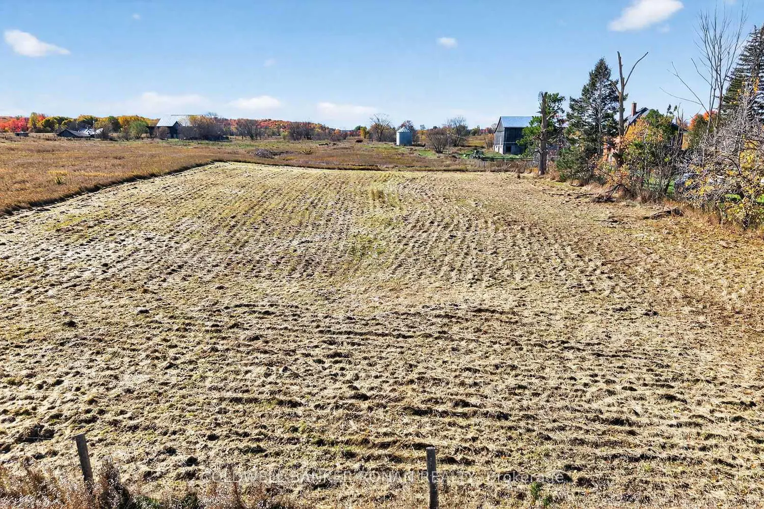 Additional image 9 of 3142 County Rd 50