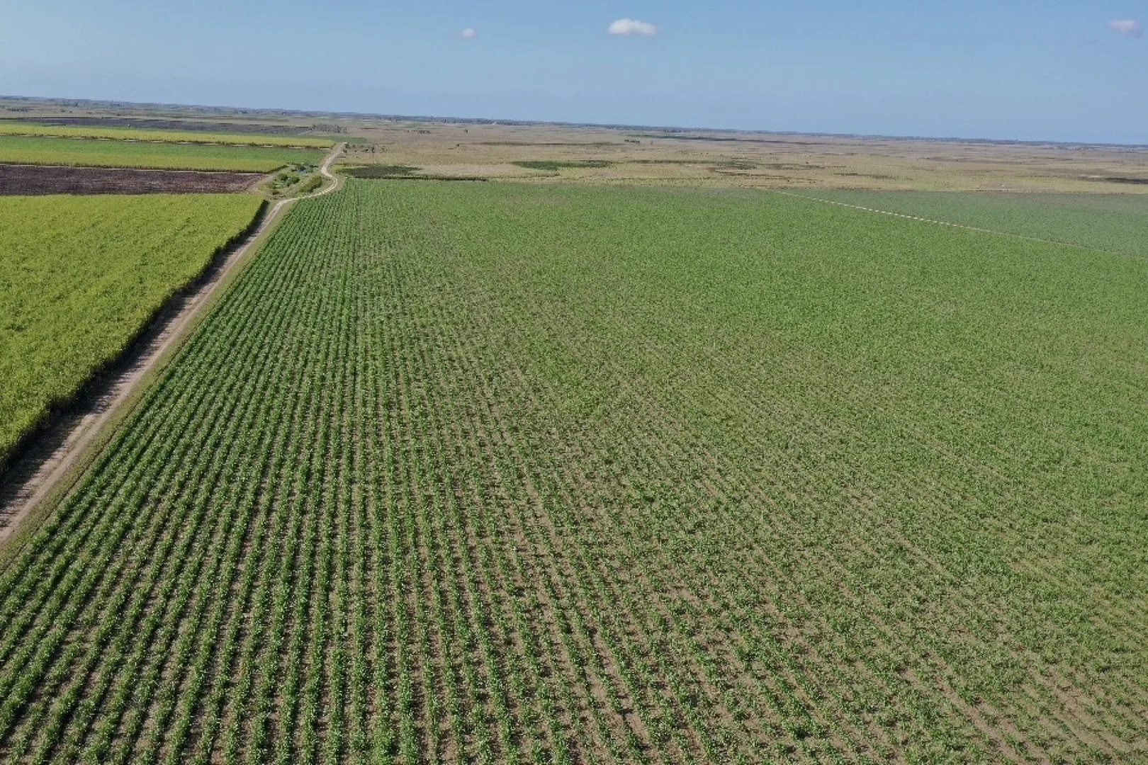 Additional image 4 of 20 Colevale Road, Brandon QLD 4808