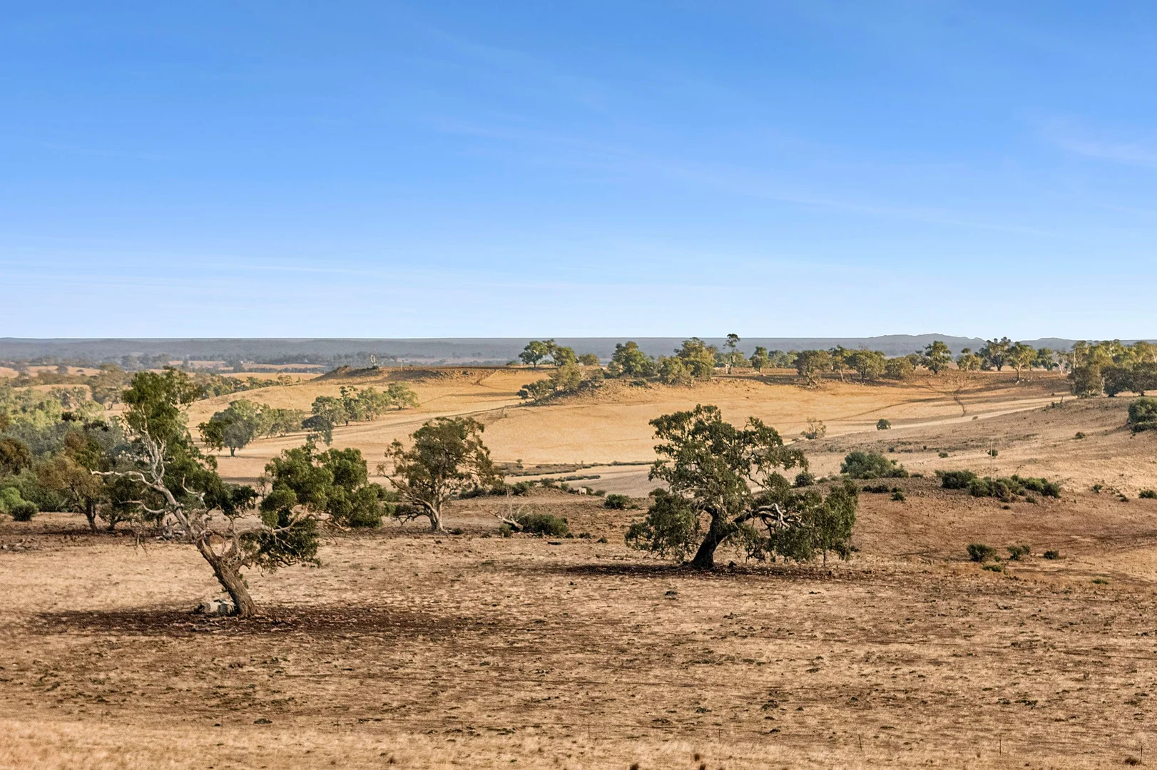 Additional image 13 of 3495 Burke and Wills Track, Mia Mia VIC 3444