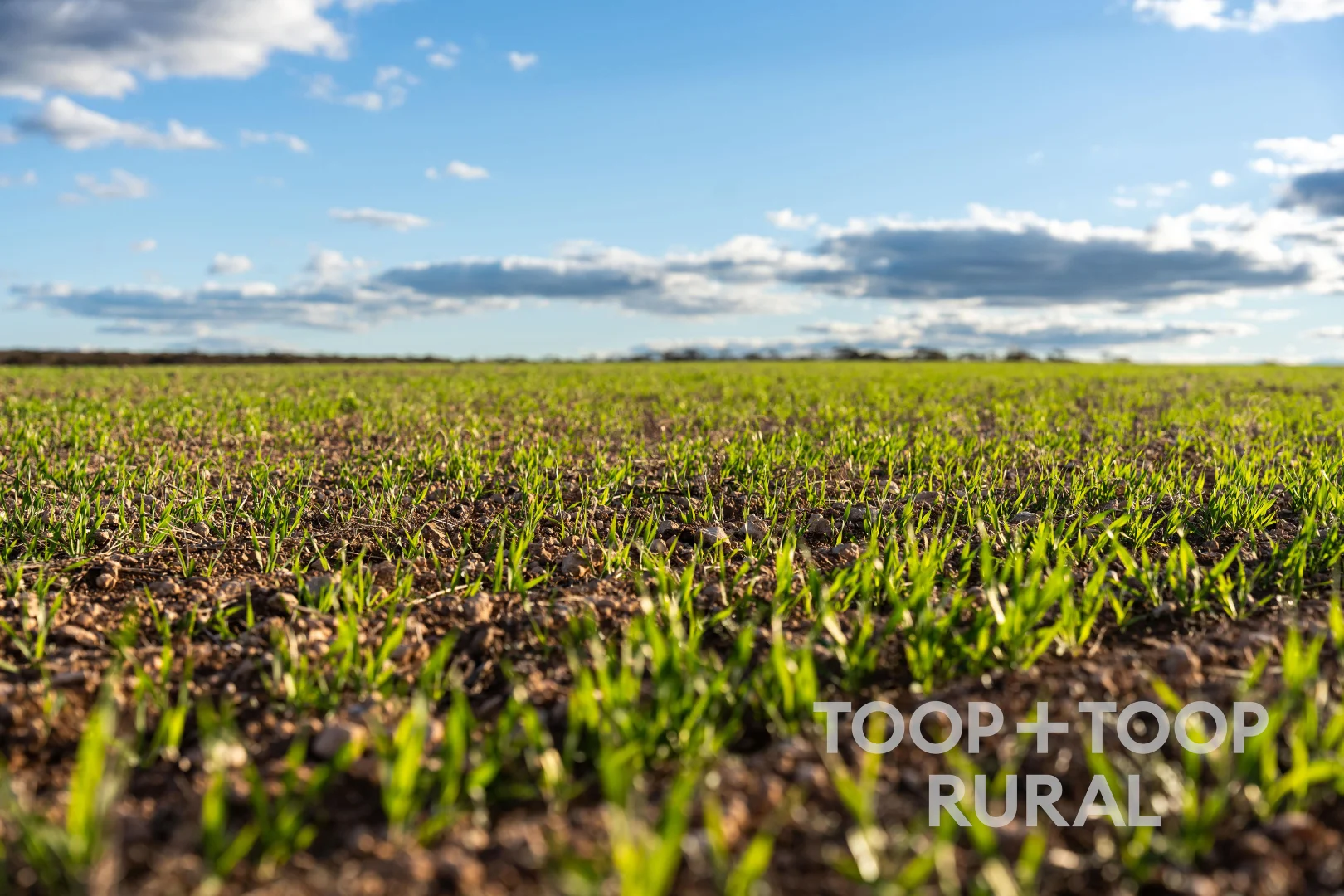 Additional image 9 of 332 Angle Road, Brownlow SA 5374