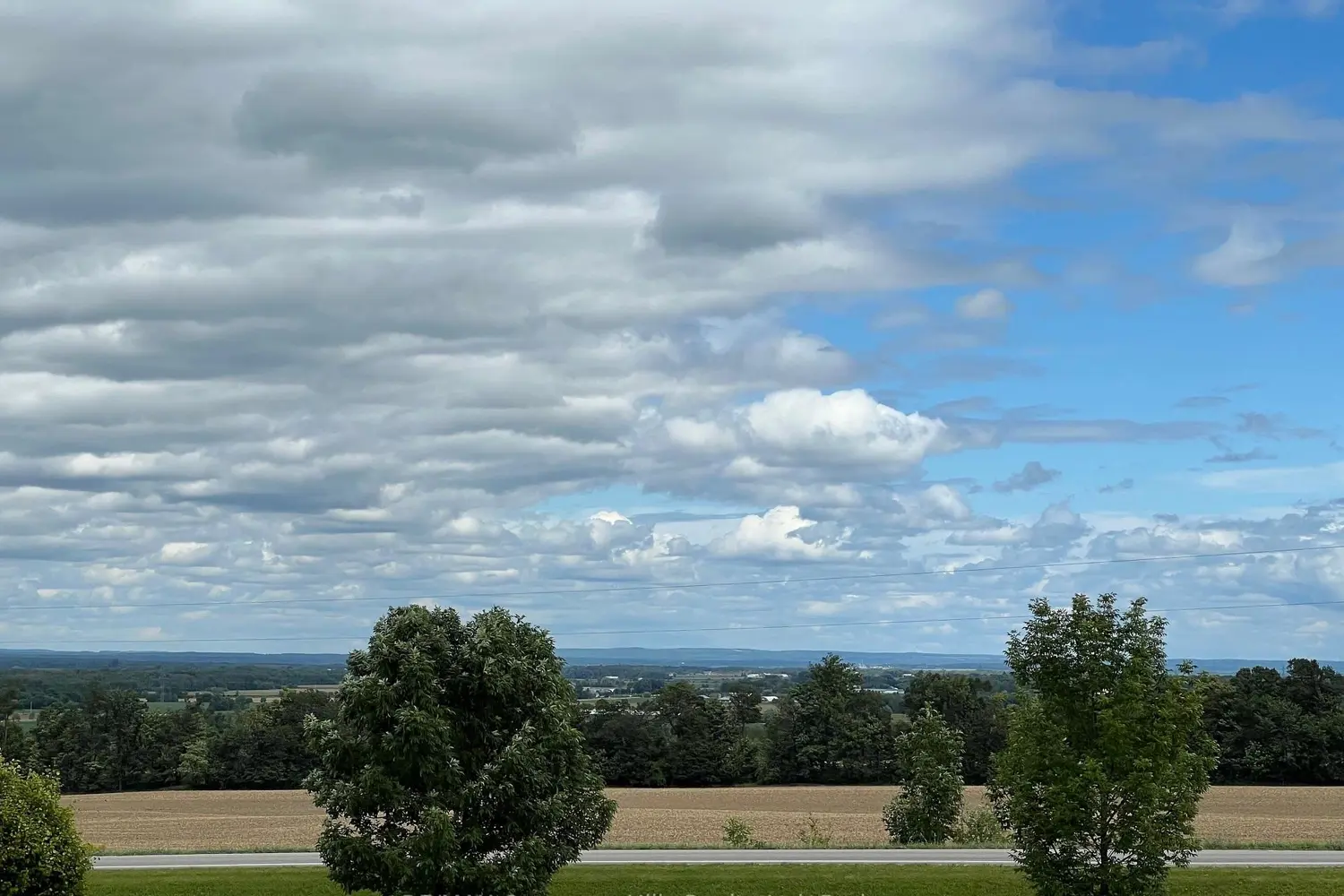 Additional image 10 of 2332 Centre Line