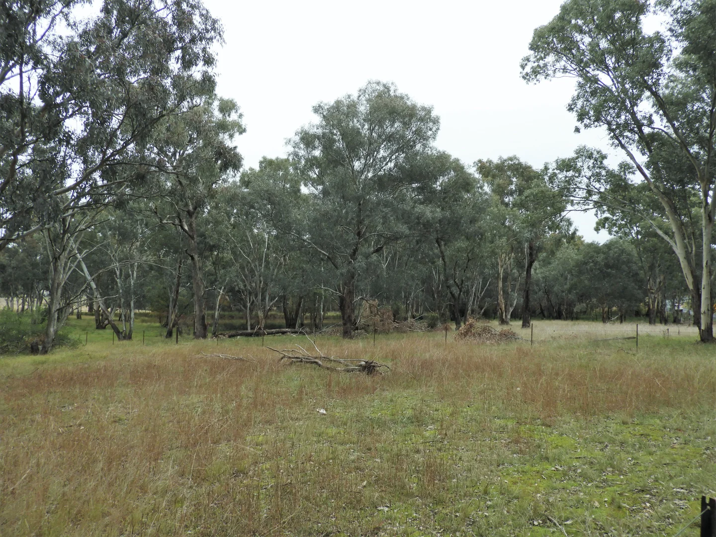 Additional image 6 of Part 4735 Olympic Highway, Young NSW 2594