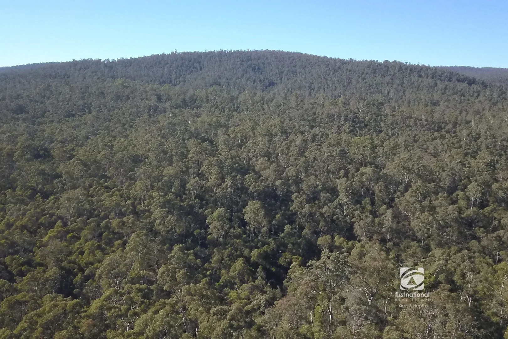 786 McCallums Road, Benambra VIC 3900