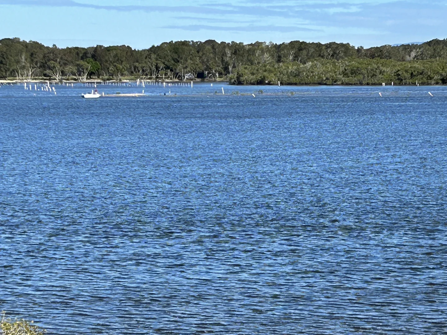 Additional image 20 of 56 Diamantina Circuit, Harrington NSW 2427