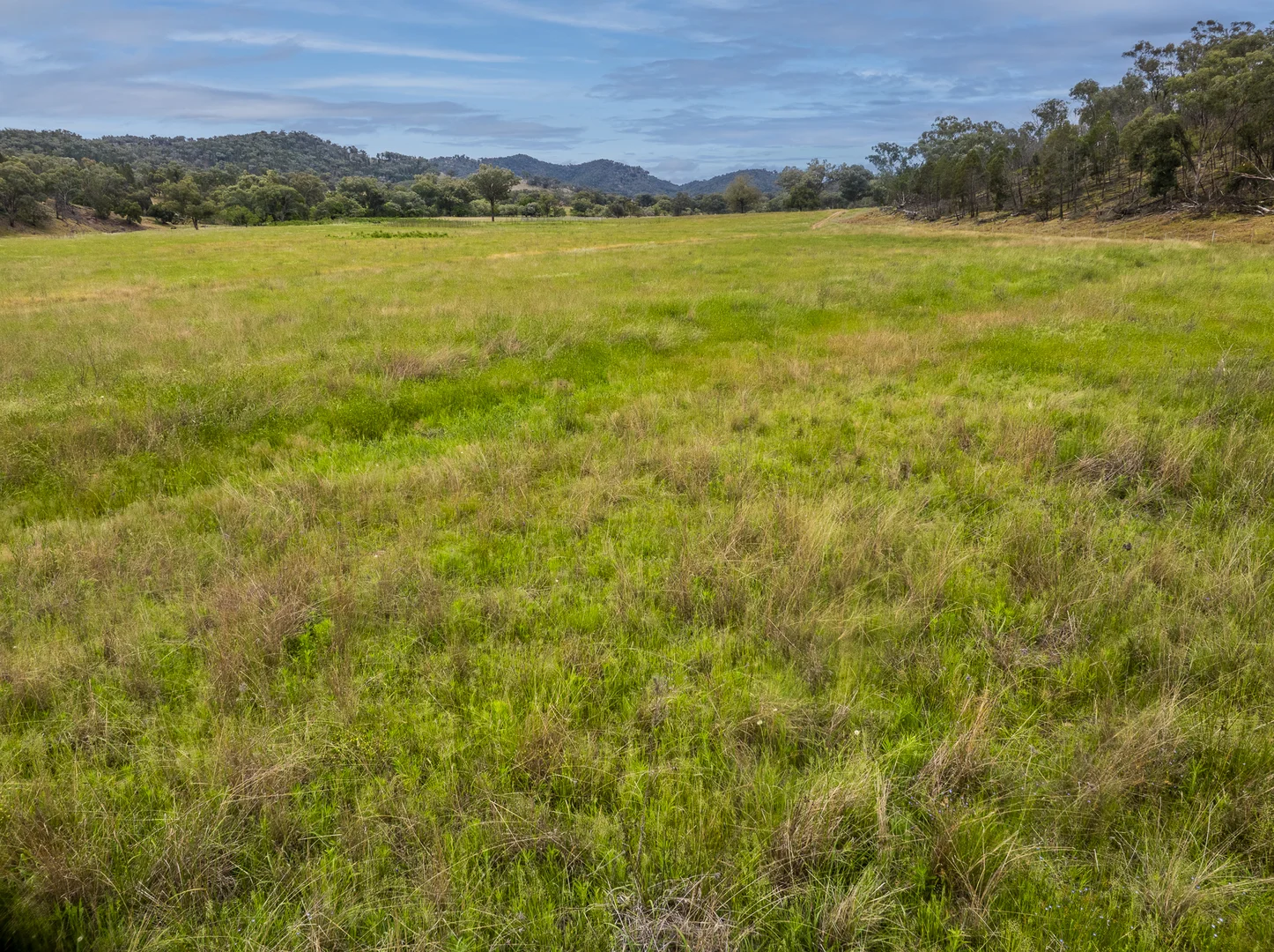 Additional image 18 of The Spring 561 Mountain Valley Road, Neurea NSW 2820