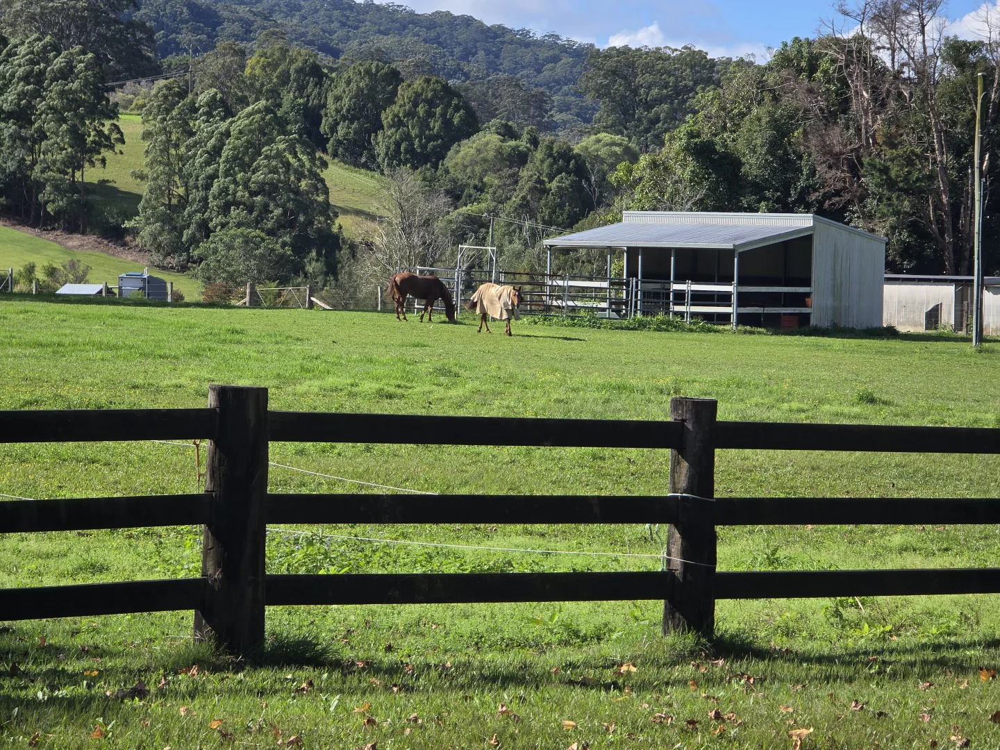 Additional image 4 of Lot 1/208 North Bonville Road, Bonville NSW 2450