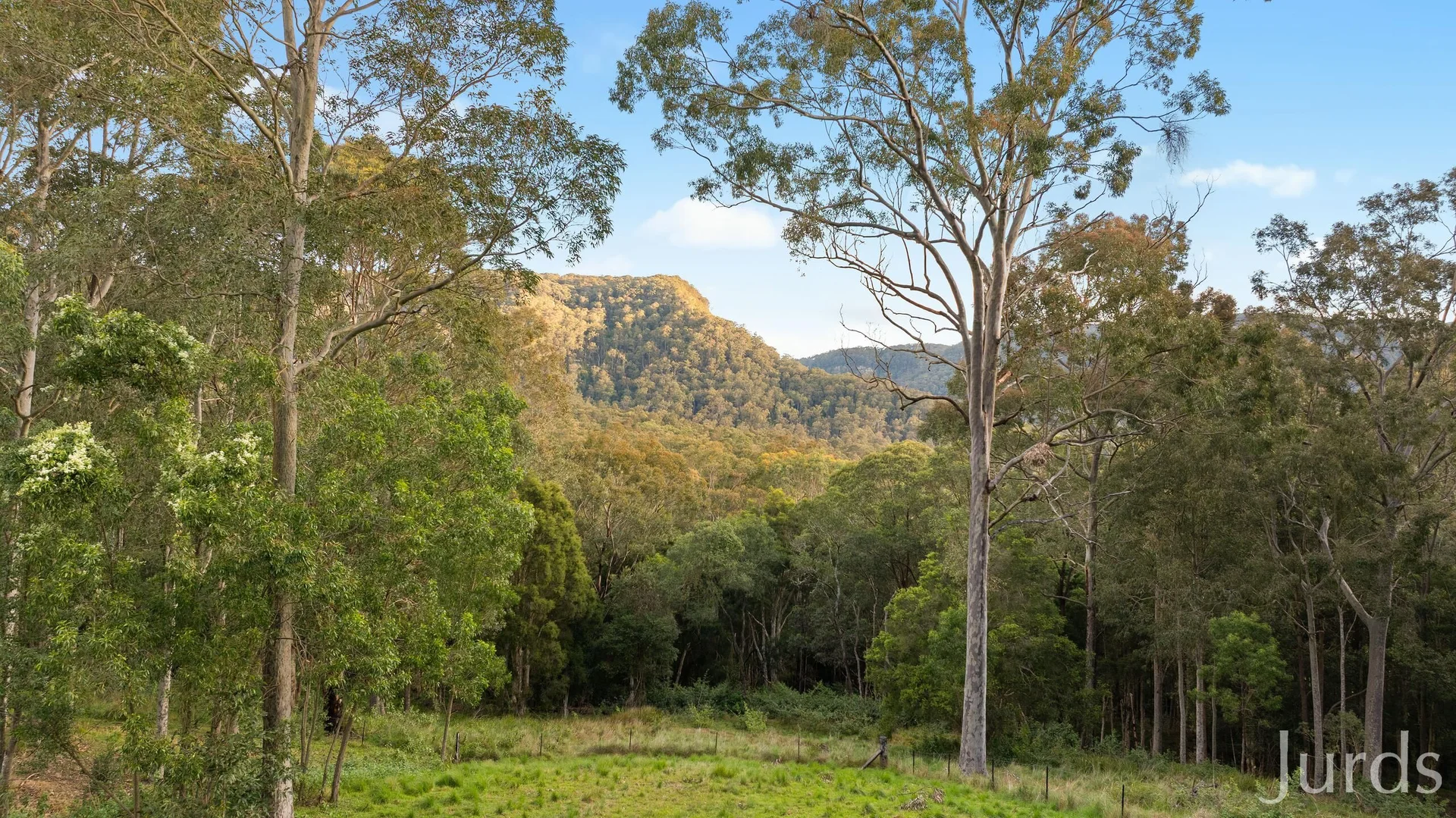 Additional image 36 of 131 Rodney Road, Mount Vincent NSW 2323