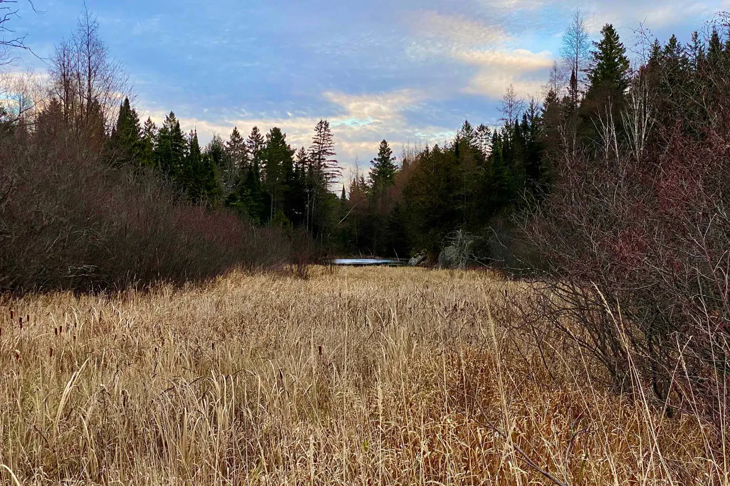 Additional image 7 of Lot 0-B Legrou's Lake Road