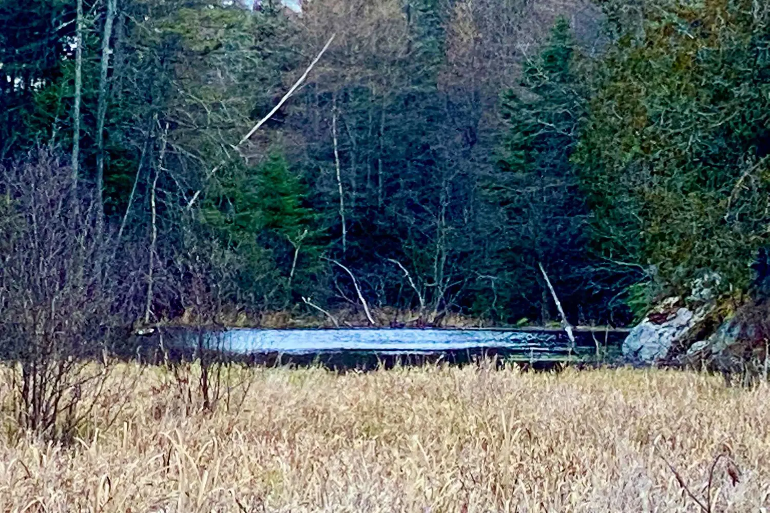 Lot 0-B Legrou's Lake Road
