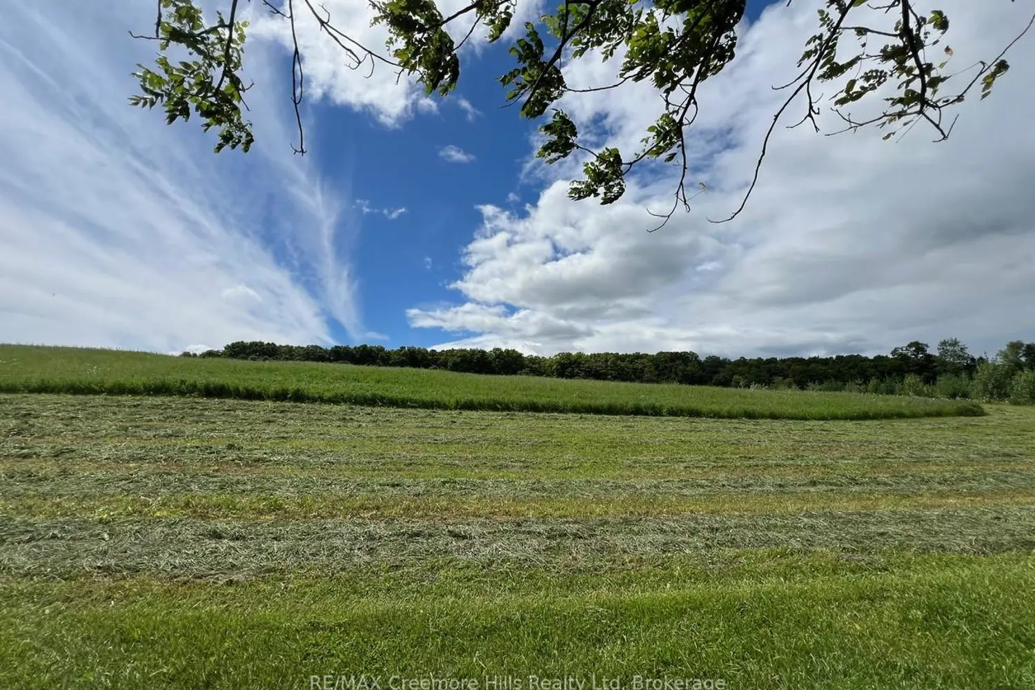 Additional image 14 of 2332 Centre Line