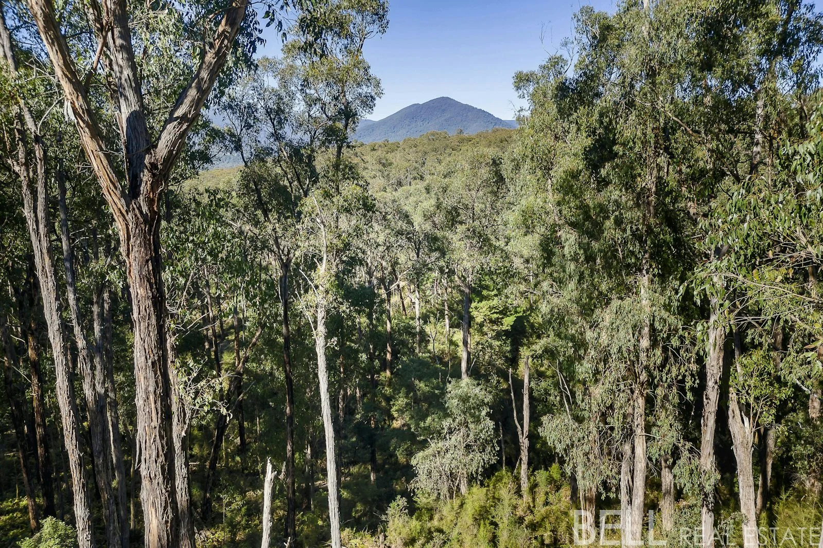 Additional image 7 of 12 Cornelius Crescent, Healesville VIC 3777