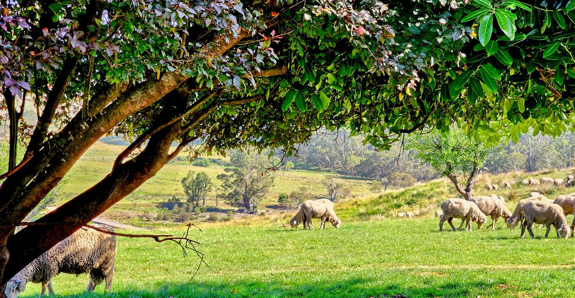 Additional image 2 of 148 Ferndale Road, Coolumbooka NSW 2632