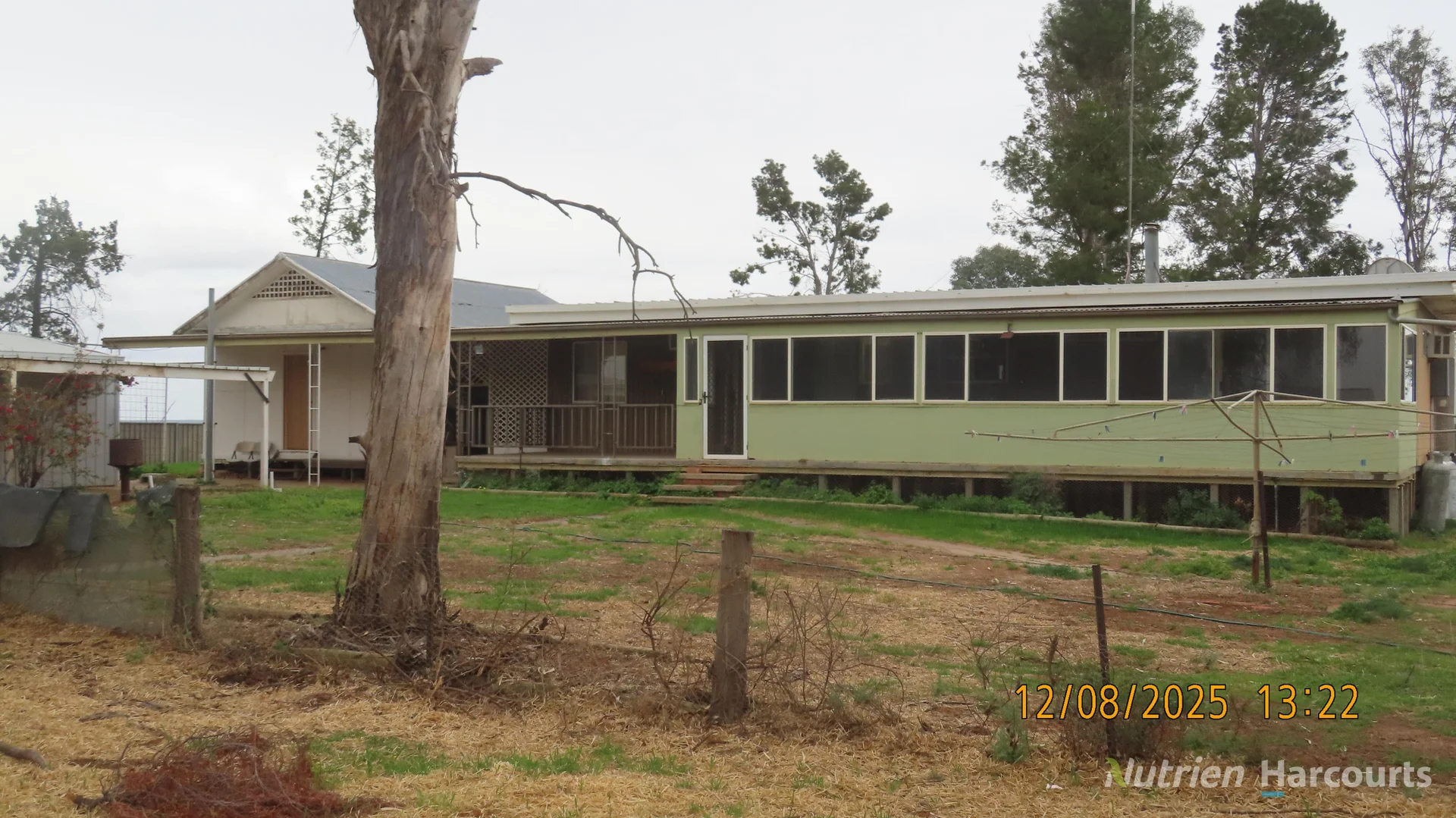 Additional image 16 of * Magenta Aggregation, Balranald NSW 2715