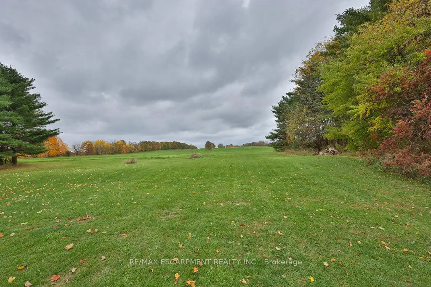 Additional image 9 of 5665 Milburough Line