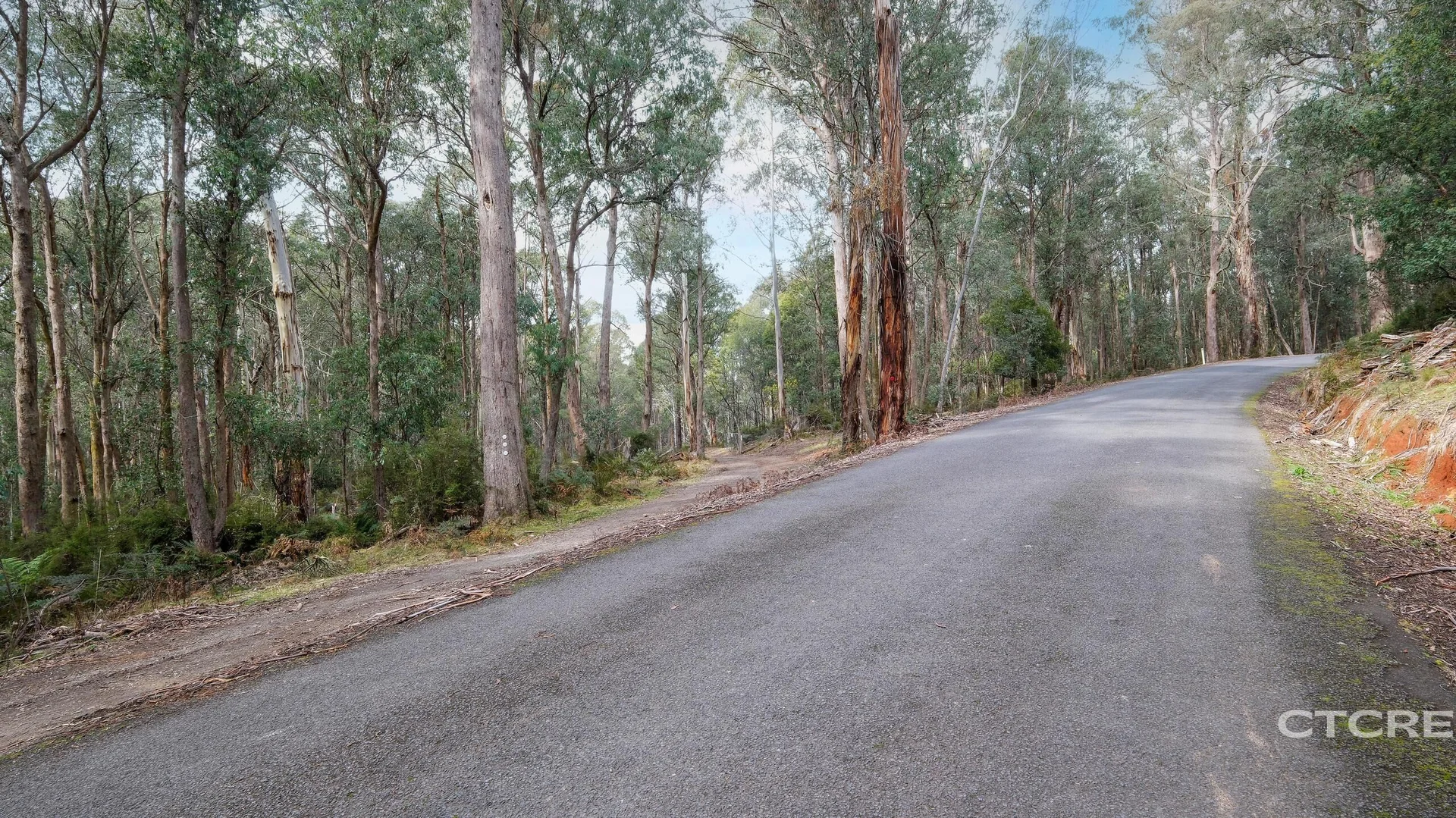 Additional image 9 of 1695 Bendoc-Orbost Road, Bendoc VIC 3888