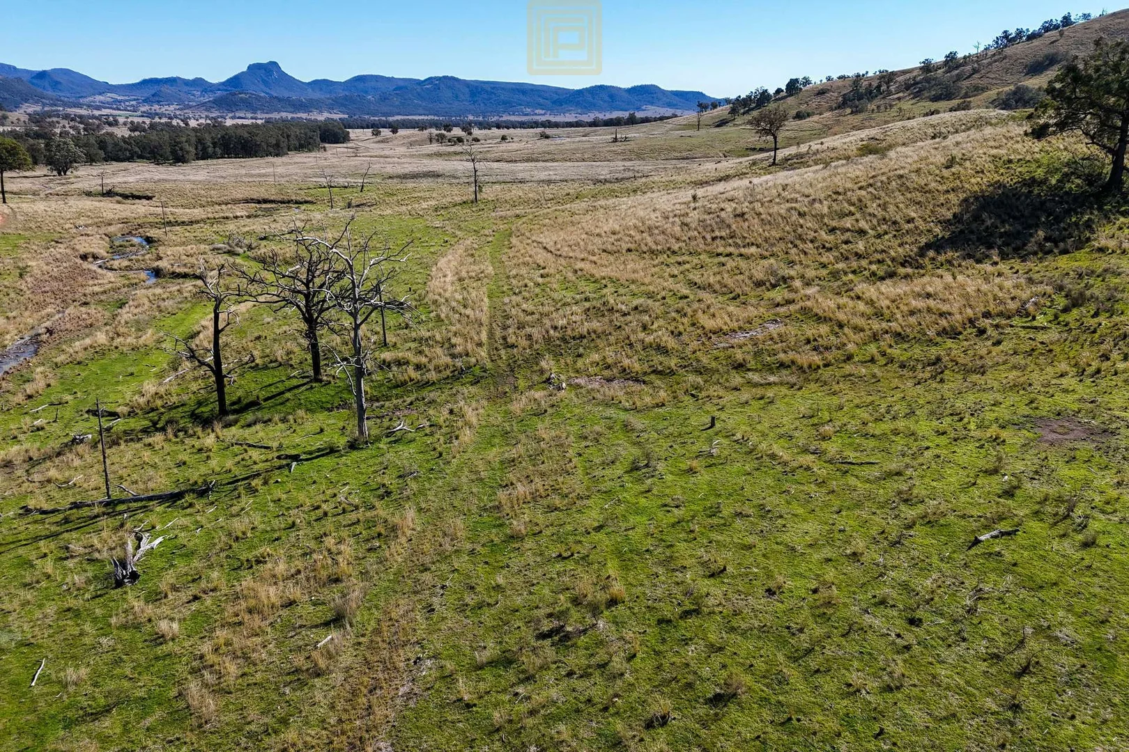 Additional image 12 of DARTHULA Pound Creek Road, Rocky Creek NSW 2390