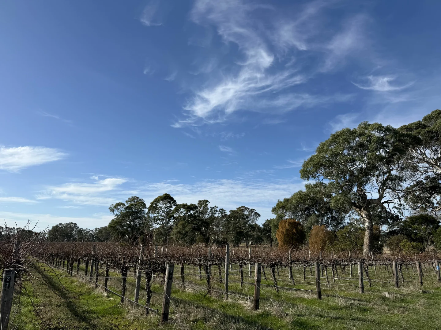 Additional image 14 of Lot 104 Dergholm Road, Penola SA 5277