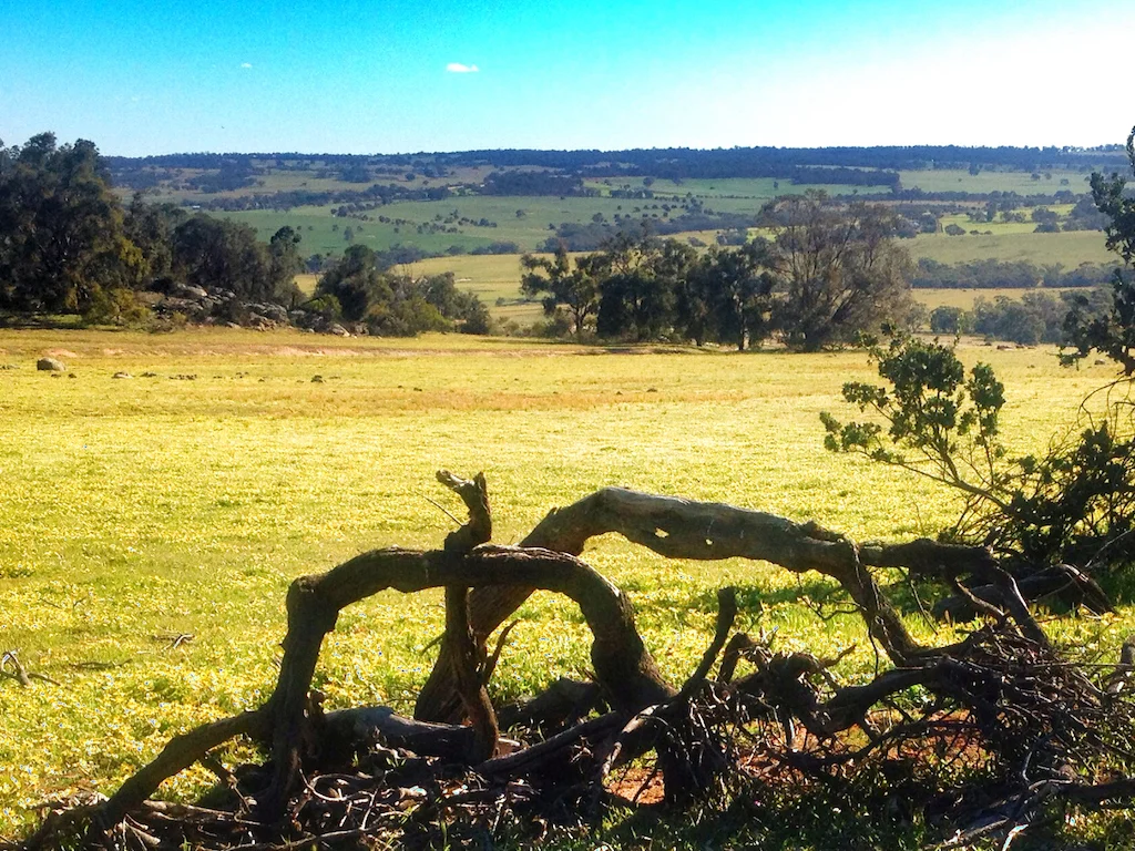 Additional image 39 of Lot 12 Young Road, Gwambygine WA 6302