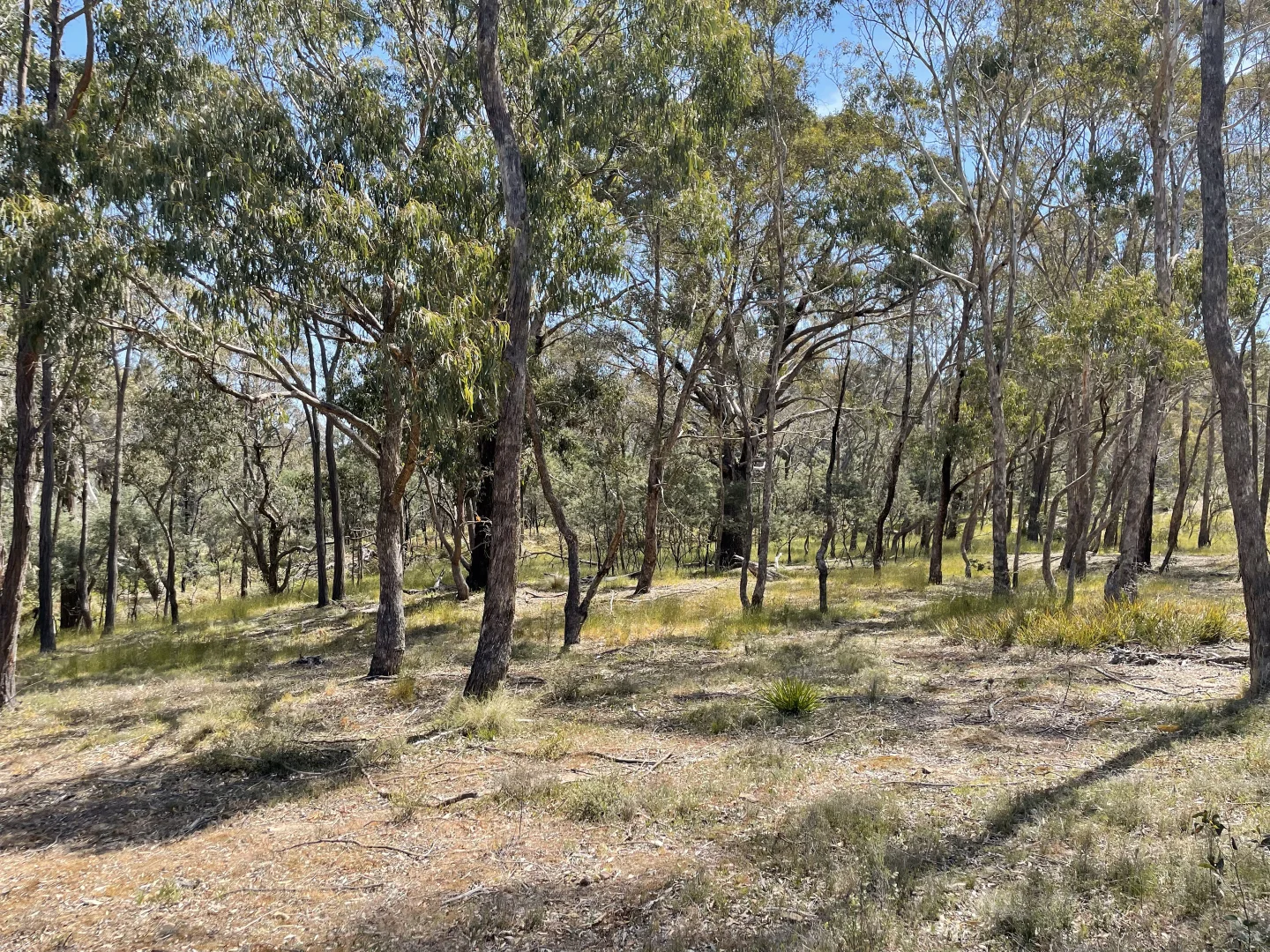 Additional image 12 of 925 Marked Tree Road, Gundaroo NSW 2620