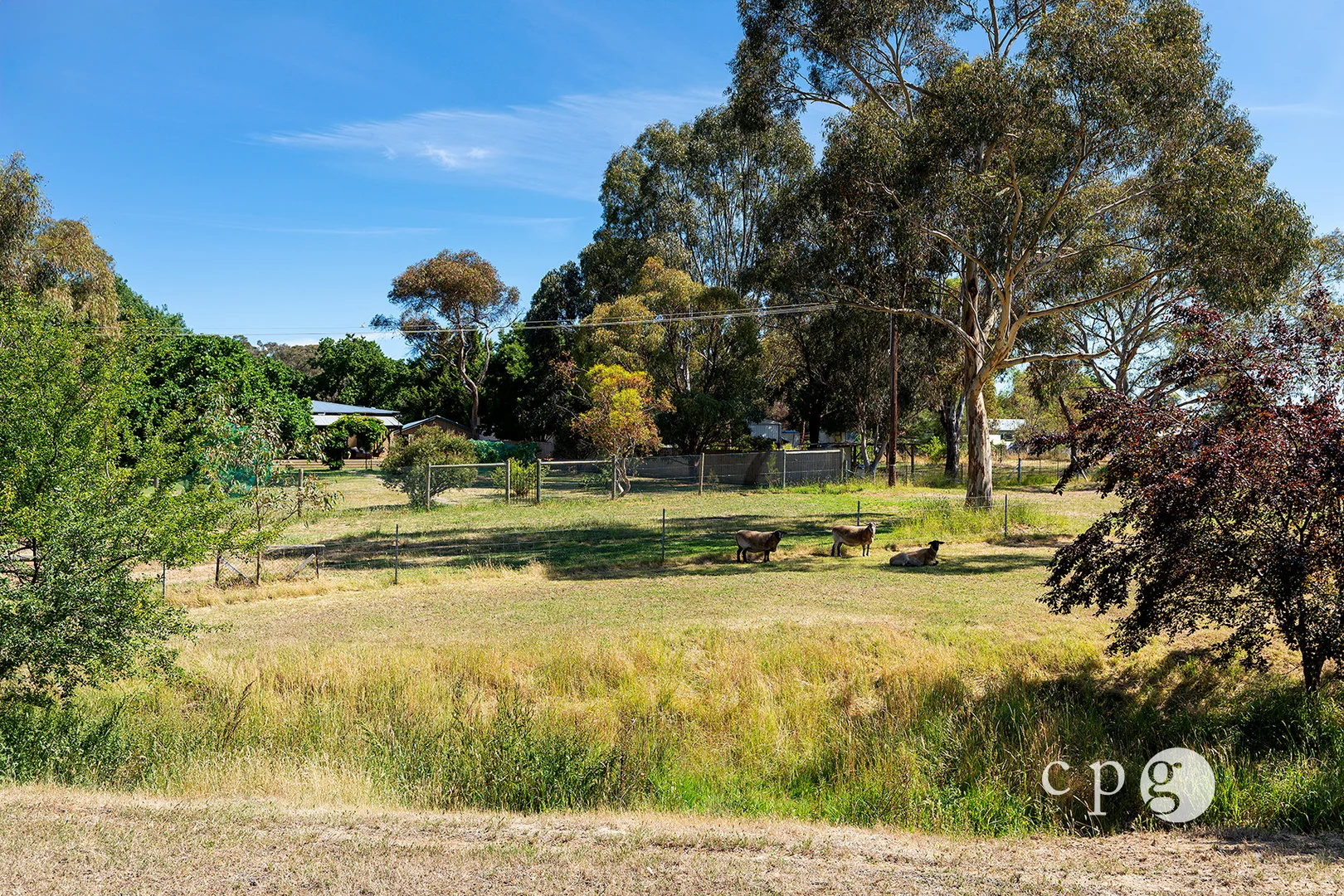 Additional image 5 of 36 Princess Street, Campbells Creek VIC 3451