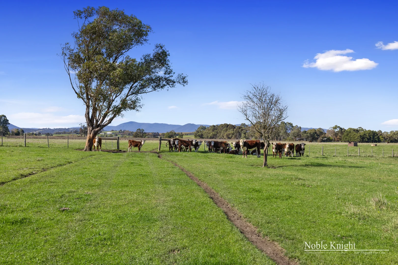 Additional image 3 of 1077 Melba Highway, Yarra Glen VIC 3775