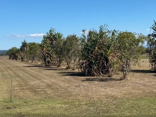 Additional image 3 of Lot 66 Lethebrook Road, Lethebrook QLD 4800