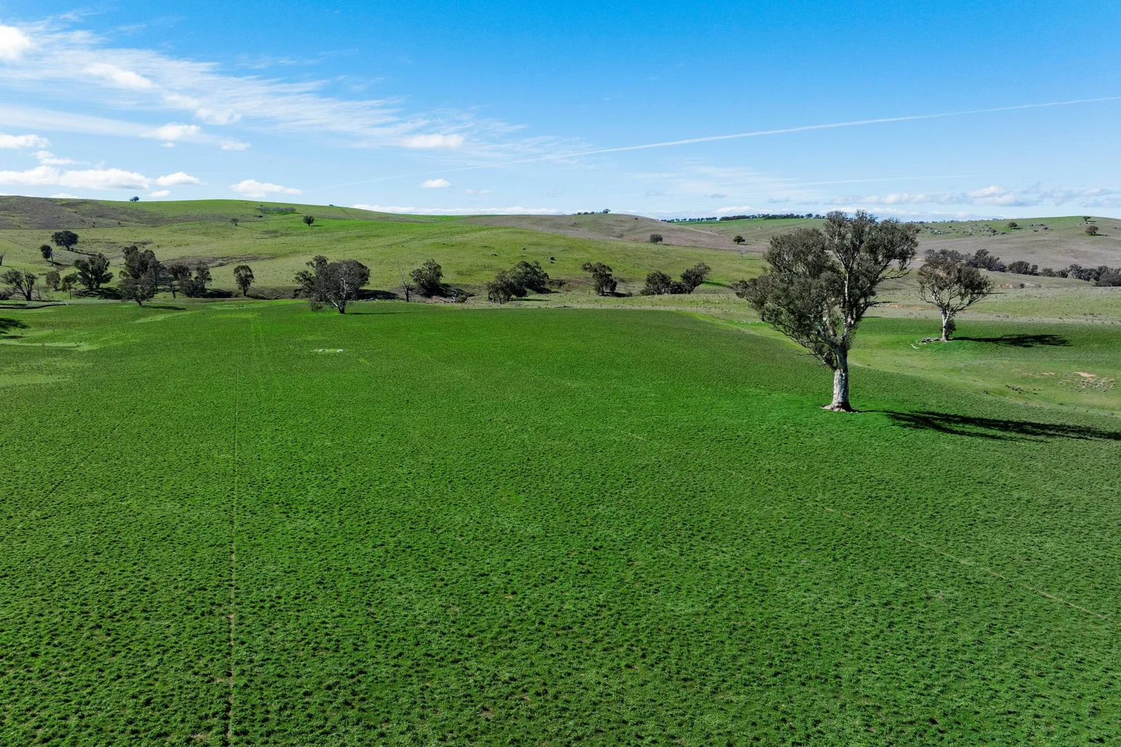 Additional image 15 of 670 Leahy Road, Wagga Wagga NSW 2650