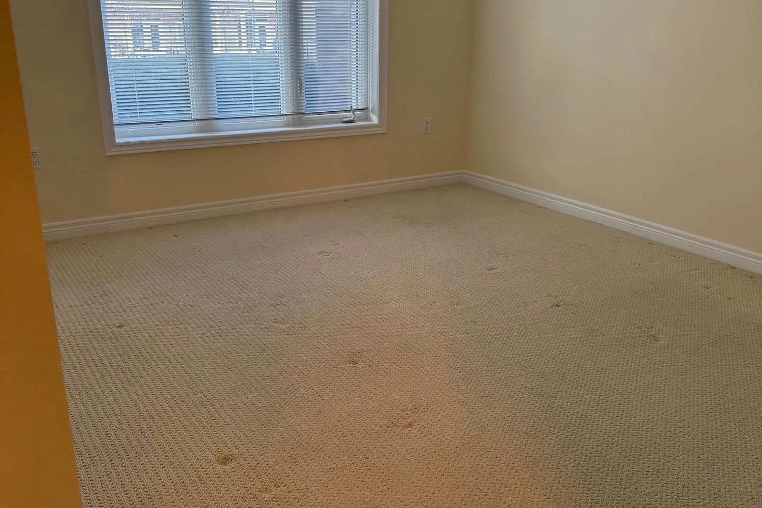 Additional image 10 of 65 Bayberry Drive C104