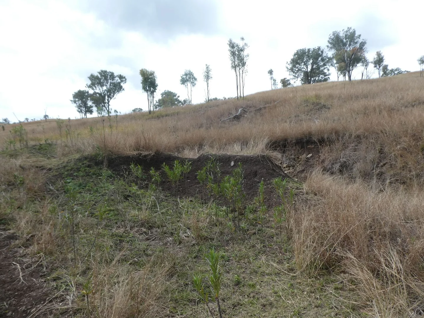 Additional image 12 of 4 Lots/NRN Monto Mount Perry Road, Mungy QLD 4671