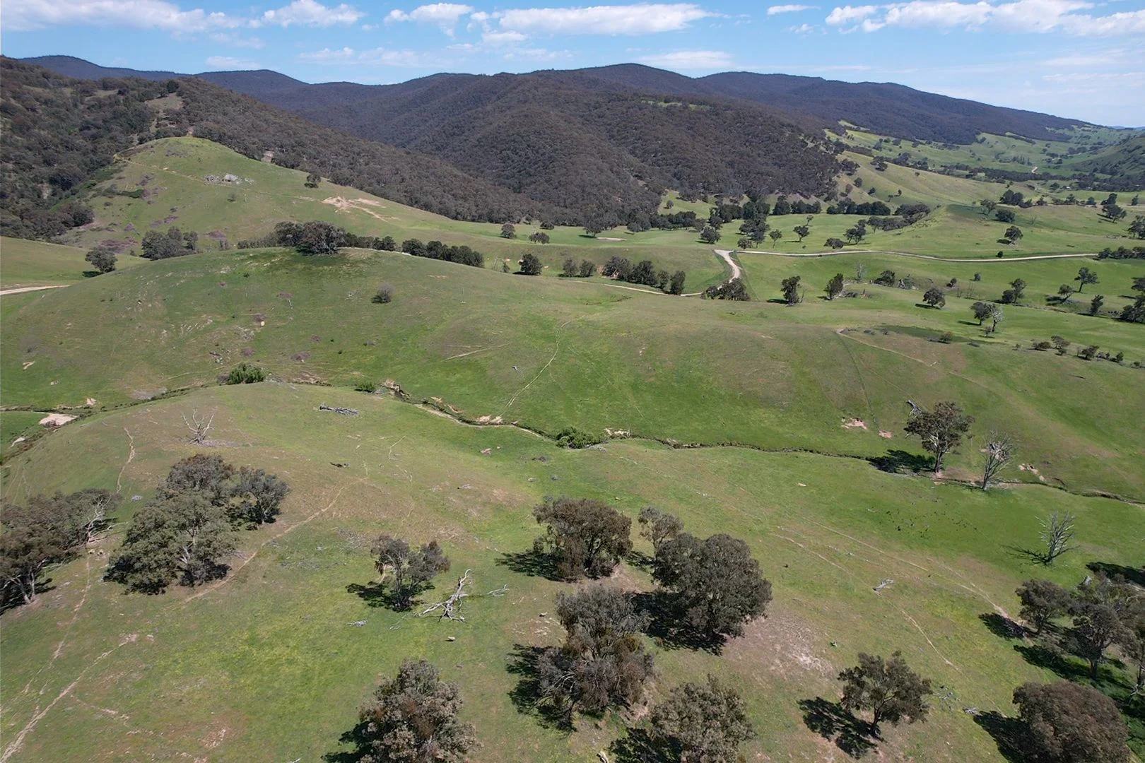 Additional image 16 of 1208 Sawyers Gully, Yass NSW 2582