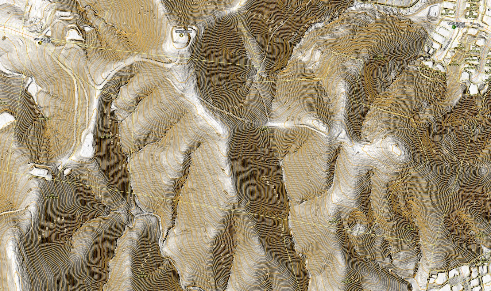 Additional image 8 of 94 Holyrood Road, Maudsland QLD 4210