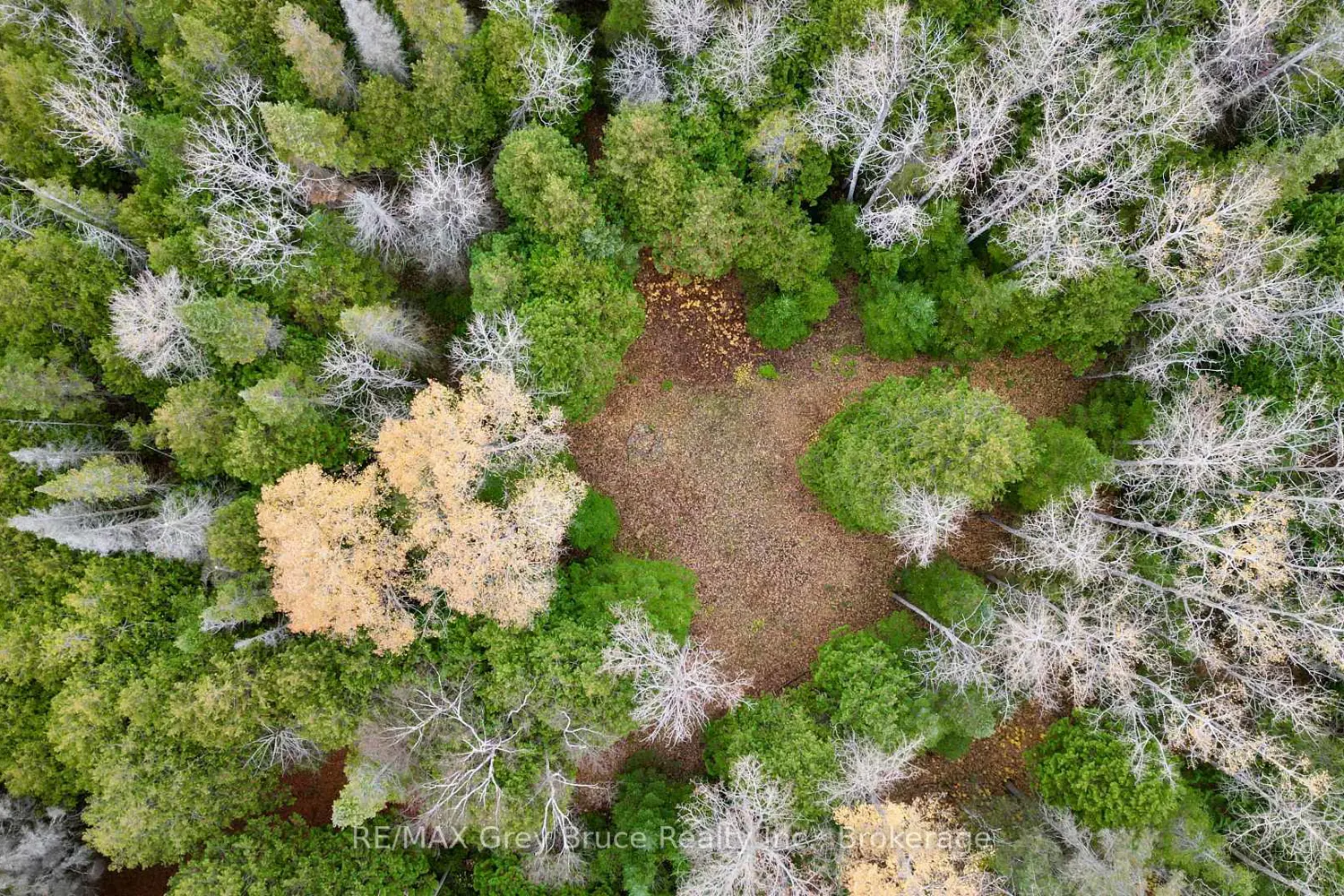 Additional image 7 of 44 Stokes Bay Road