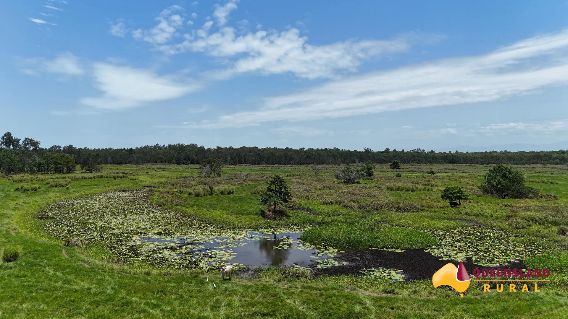 Additional image 6 of Euramo QLD 4854